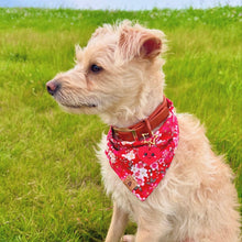 Load image into Gallery viewer, LNY cherry blossom dog bandana
