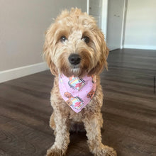 Load image into Gallery viewer, cup doodles (pink) dog bandana
