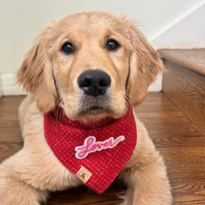 snowberry red tweed dog bandana