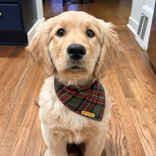 Load image into Gallery viewer, cottonwood plaid dog bandana
