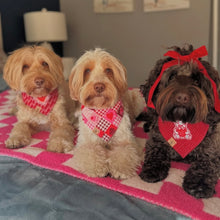 Load image into Gallery viewer, patchwork love dog bandana
