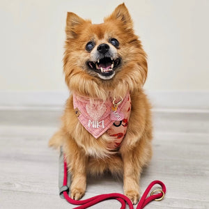 strawberry shortcake plaid dog bandana