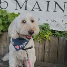 Load image into Gallery viewer, light pink denim hearts personalized dog bandana
