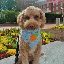 Load image into Gallery viewer, cottontail cutie dog bandana
