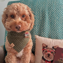 Load image into Gallery viewer, evergreen moss tweed dog bandana
