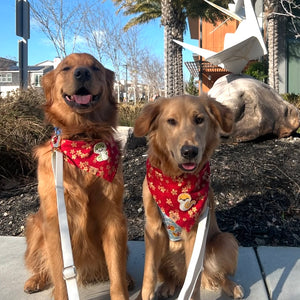 LNY snake blossoms dog bandana