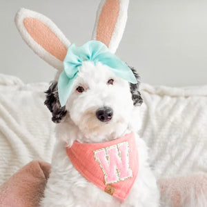 strawberry shortcake plaid dog bandana