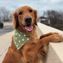Load image into Gallery viewer, pistachio petals dog bandana
