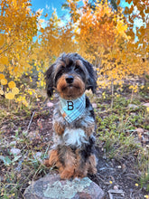 Load image into Gallery viewer, forest fog flannel dog bandana
