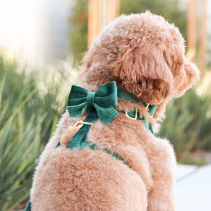 emerald green velvet bow