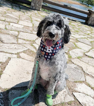 Load image into Gallery viewer, all stars letterman dog bandana
