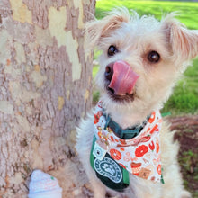 Load image into Gallery viewer, autumn morning dog bandana
