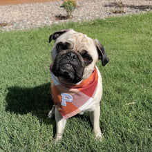 Load image into Gallery viewer, LAST CHANCE! apple cider flannel dog bandana (M/L only)
