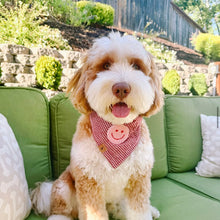 Load image into Gallery viewer, heart eyes for you dog bandana
