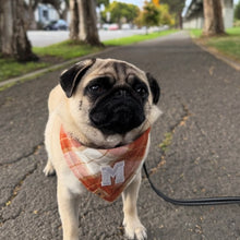 Load image into Gallery viewer, chai latte flannel letterman dog bandana
