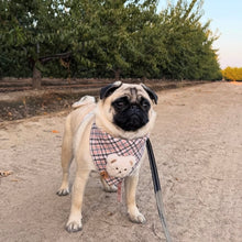 Load image into Gallery viewer, charmed blush flannel dog bandana
