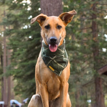 Load image into Gallery viewer, celtic plaid dog bandana
