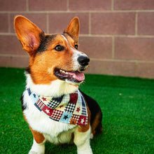 Load image into Gallery viewer, patriotic patchwork dog bandana
