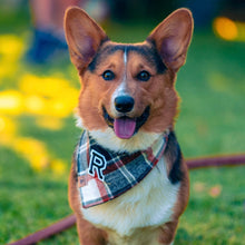 Load image into Gallery viewer, hollows eve letterman dog bandana
