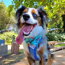 Load image into Gallery viewer, barkwood dog bandana
