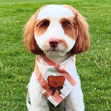 Load image into Gallery viewer, LAST CHANCE! pumpkin cream flannel dog bandana (XS, S/M, M)
