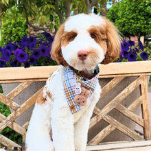 Load image into Gallery viewer, olivia plaid dog bandana
