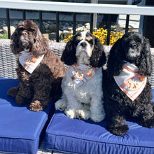 Load image into Gallery viewer, LAST CHANCE! pumpkin cream flannel dog bandana (XS, S/M, M)
