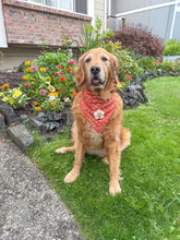 Load image into Gallery viewer, LAST CHANCE! life of a showdog dog bandana (only S or XL left)
