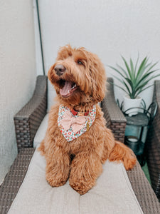 morning blossom dog bandana