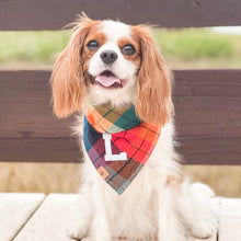 Load image into Gallery viewer, midnight amber letterman dog bandana
