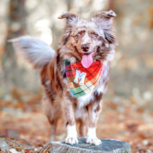Load image into Gallery viewer, midnight amber letterman dog bandana
