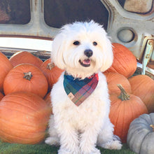 Load image into Gallery viewer, midnight amber flannel dog bandana
