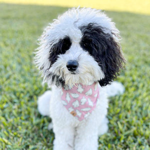 pink squad ghouls dog bandana (glow in the dark!)