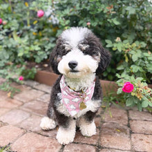 Load image into Gallery viewer, pink squad ghouls dog bandana (glow in the dark!)
