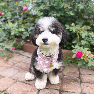 pink squad ghouls dog bandana (glow in the dark!)