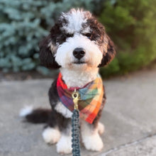 Load image into Gallery viewer, midnight amber flannel dog bandana
