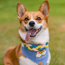 Load image into Gallery viewer, love is love dog bandana
