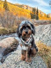 Load image into Gallery viewer, hollows eve flannel dog bandana
