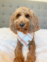 Load image into Gallery viewer, LAST CHANCE! pumpkin cream flannel dog bandana (XS, S/M, M)

