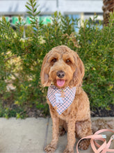 Load image into Gallery viewer, charmed blush flannel letterman dog bandana
