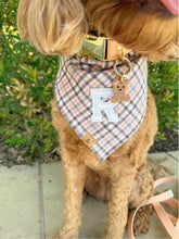 Load image into Gallery viewer, charmed blush flannel letterman dog bandana
