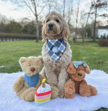 Load image into Gallery viewer, skyline flannel dog bandana
