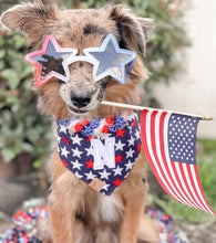 Load image into Gallery viewer, all stars letterman dog bandana
