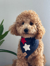 Load image into Gallery viewer, star spangled &#39;dana dog bandana

