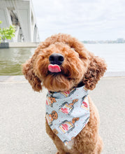 Load image into Gallery viewer, cup doodles (light blue) dog bandana
