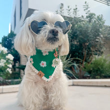 Load image into Gallery viewer, evergreen daisies dog bandana
