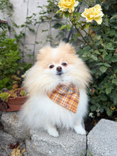 Load image into Gallery viewer, salted caramel flannel dog bandana
