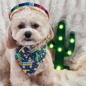 let's fiesta (dark blue) dog bandana