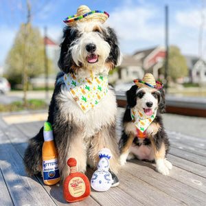 cinco de doggo dog bandana