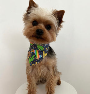 let's fiesta (dark blue) dog bandana